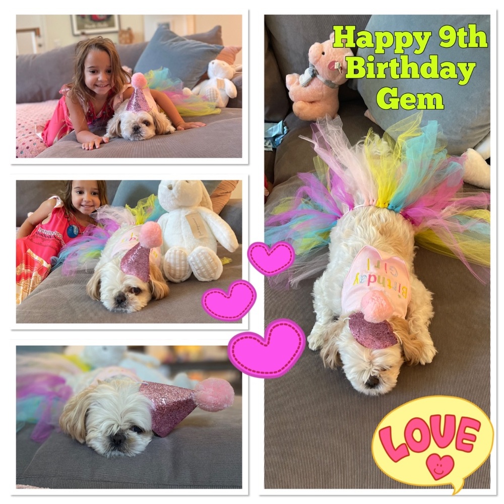Gem turned 9 🤩🥳🎉🎊